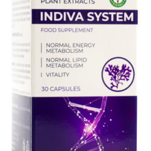 InDiva System
