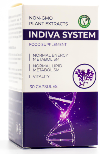 InDiva System